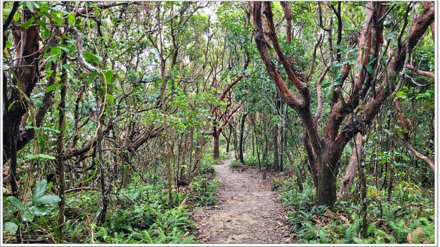 Byron Bay - Queensland - Australien