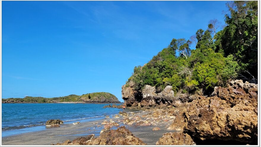 Cape Hillsborough - Andrew Point Track - Australien