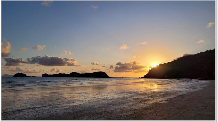 Cape Hillsborough - Queensland - Australien - Wallabys