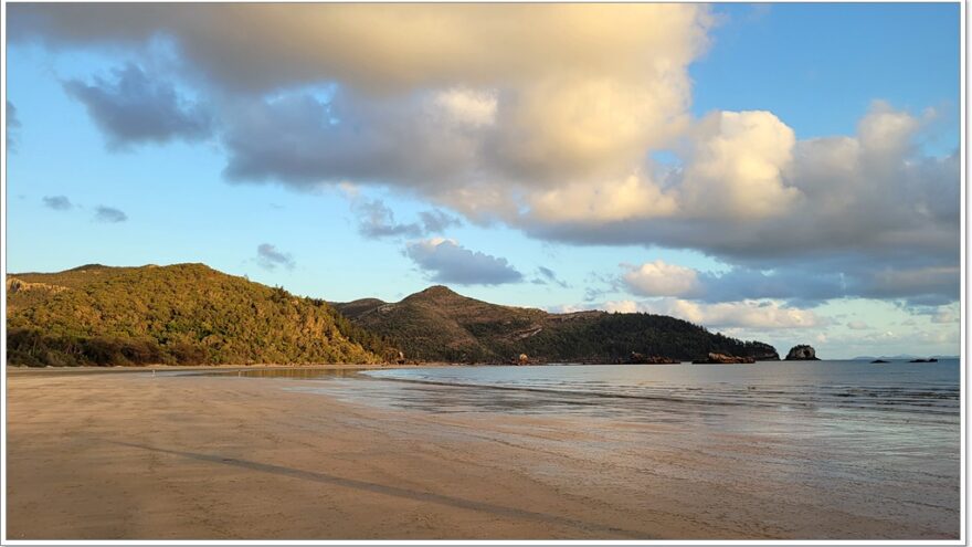 Cape Hillsborough - Queensland - Australien - Wallabys