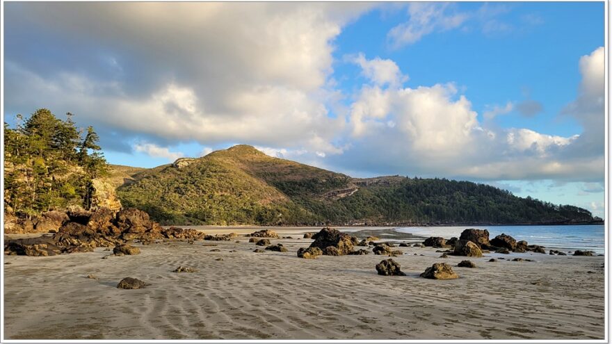 Cape Hillsborough - Queensland - Australien - Wallabys