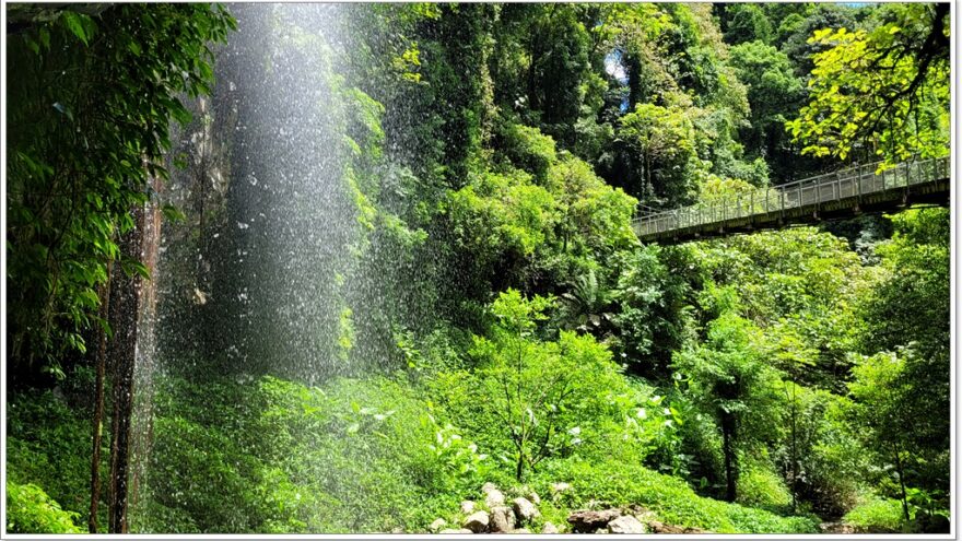 Dorrigo NP - Crystal Shower Fall - New South Wales - Australien