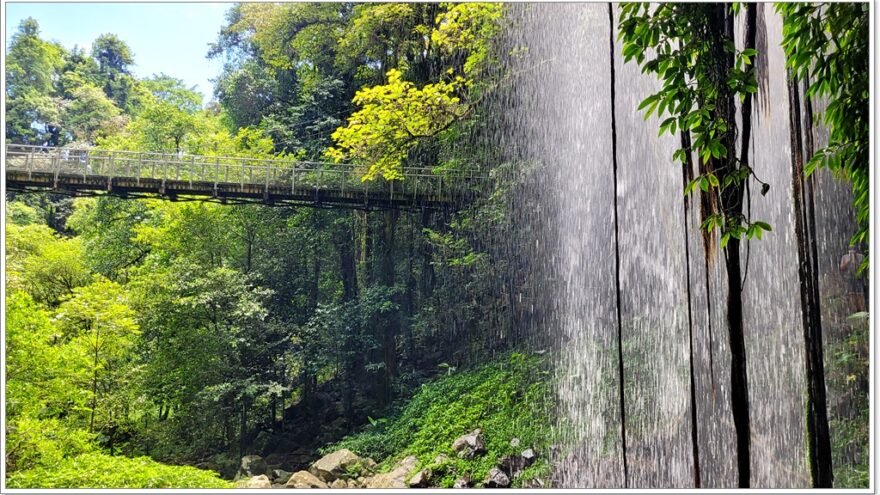 Dorrigo NP - Crystal Shower Fall - New South Wales - Australien