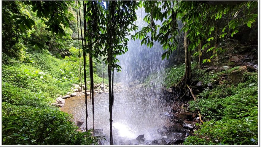 Dorrigo NP - Crystal Shower Fall - New South Wales - Australien