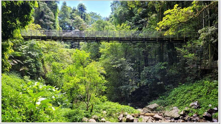 Dorrigo NP - Crystal Shower Fall - New South Wales - Australien