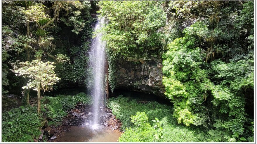 Dorrigo NP - Crystal Shower Fall - New South Wales - Australien