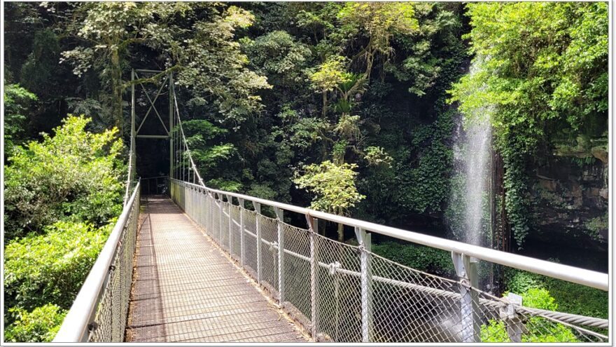 Dorrigo NP - Crystal Shower Fall - New South Wales - Australien