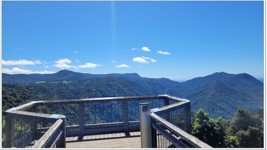 Dorrigo NP - Tristania Fall - New South Wales - Australien