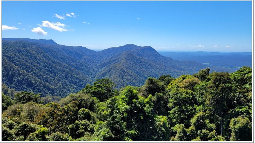 Dorrigo NP - Tristania Fall - New South Wales - Australien