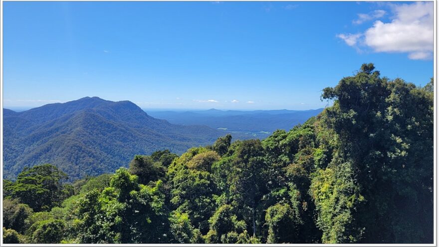 Dorrigo NP - Tristania Fall - New South Wales - Australien