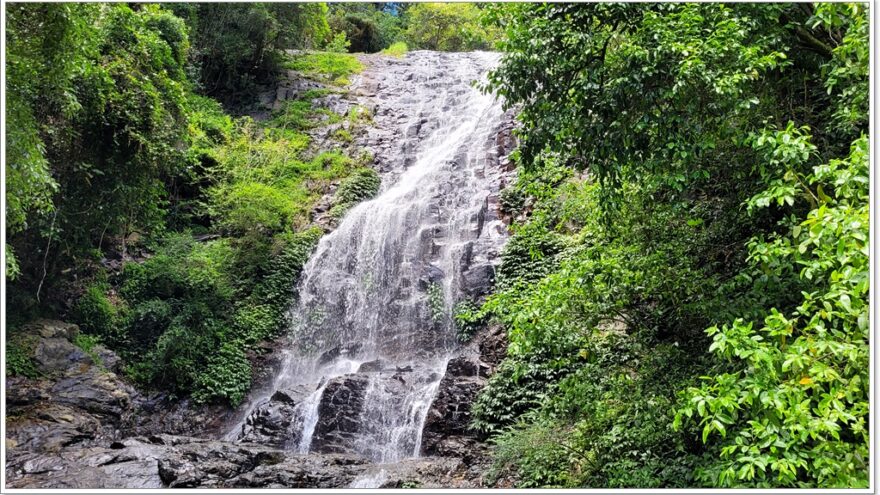 Dorrigo NP - Tristania Fall - New South Wales - Australien