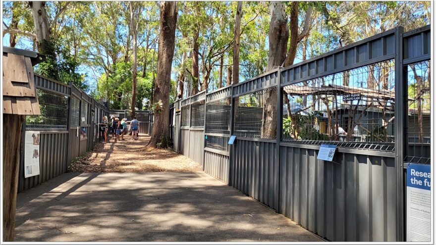 Koala Hospital Port Macquarie - New South Wales - Australien