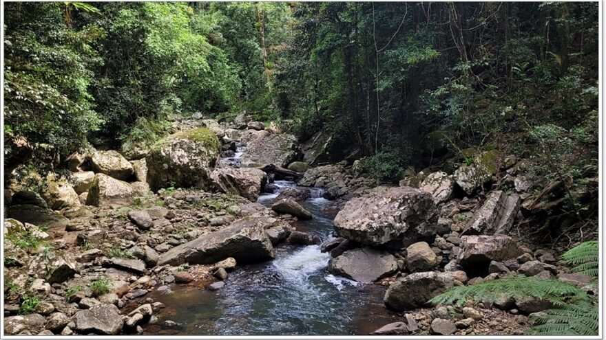 Natural Bridge - Springbrook NP - Queensland - Australien