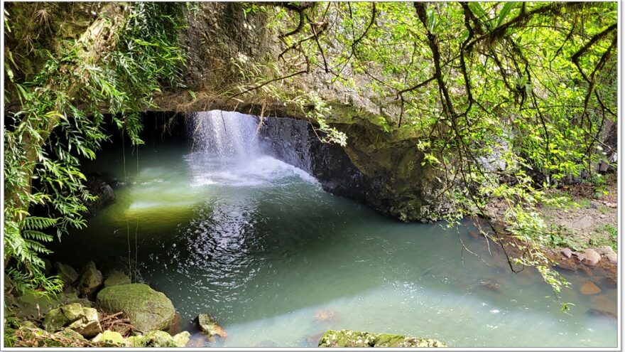 Natural Bridge - Springbrook NP - Queensland - Australien