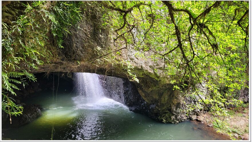 Natural Bridge - Springbrook NP - Queensland - Australien