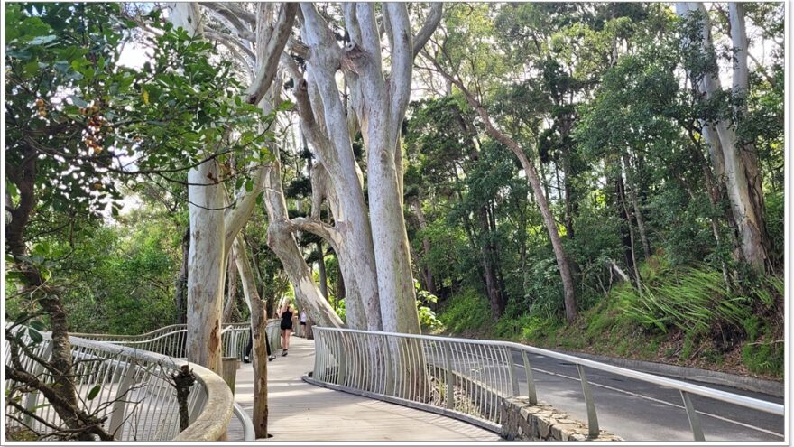 Noosa Coastal Walk - Queensland - Australien