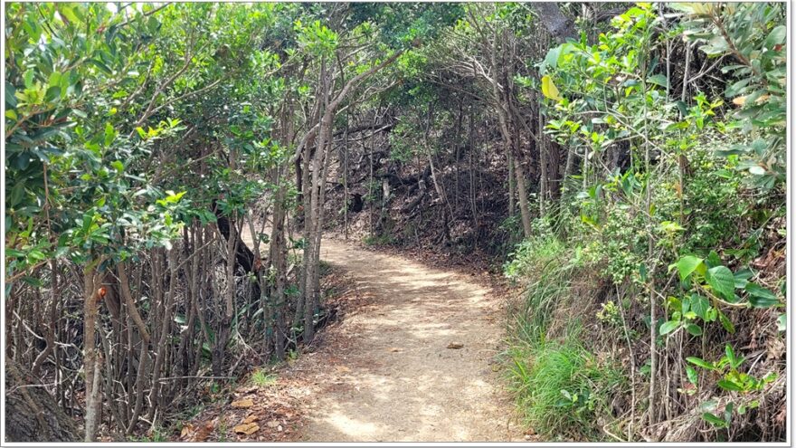 Noosa Coastal Walk - Queensland - Australien