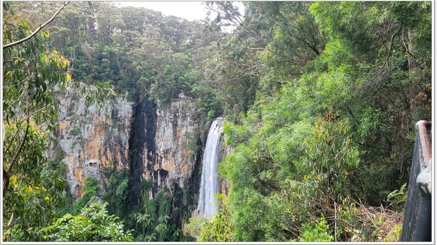 Purling Brook Falls - Springbrook NP - Queensland - Australien