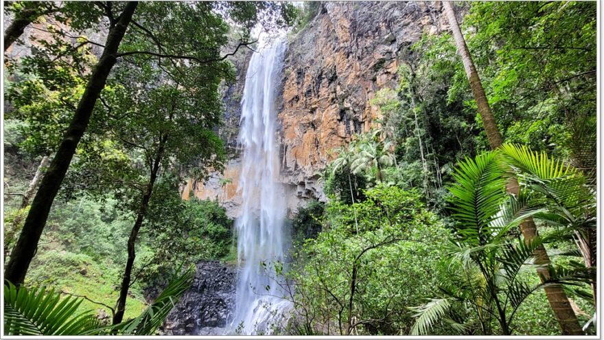 Purling Brook Falls - Springbrook NP - Queensland - Australien