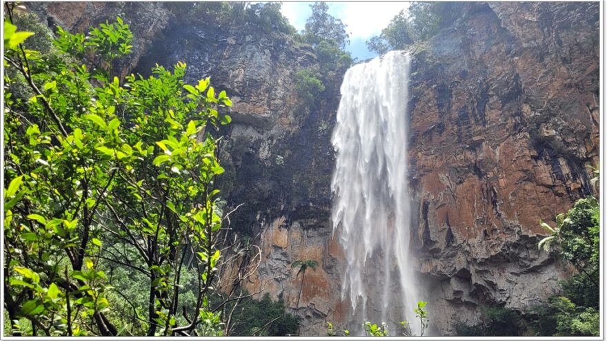 Purling Brook Falls - Springbrook NP - Queensland - Australien