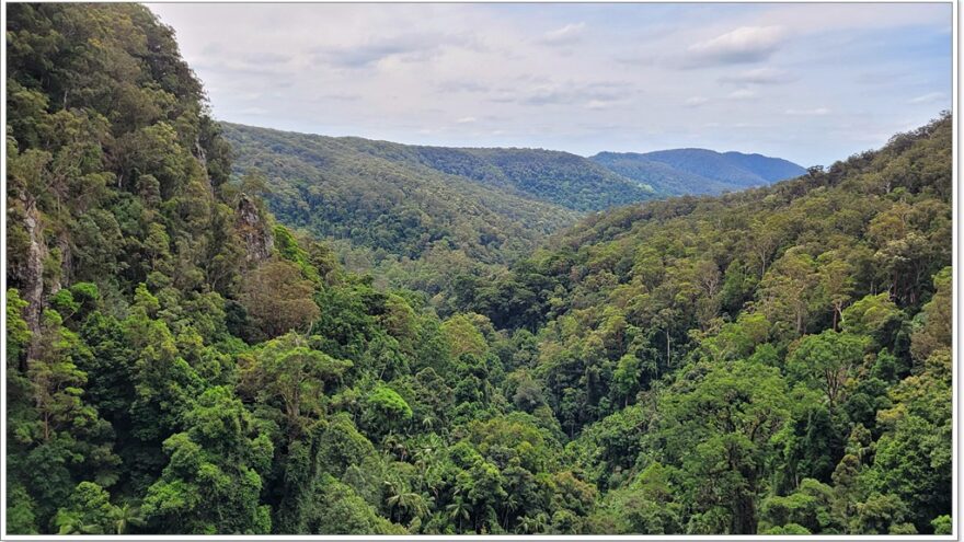 Purling Brook Falls - Springbrook NP - Queensland - Australien