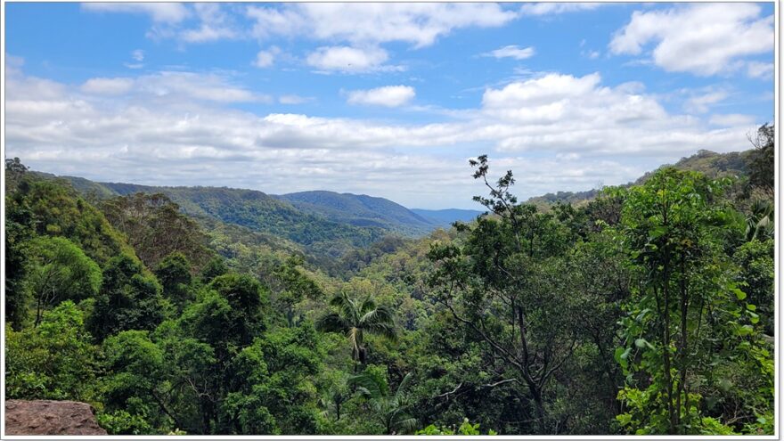 Purling Brook Falls - Springbrook NP - Queensland - Australien