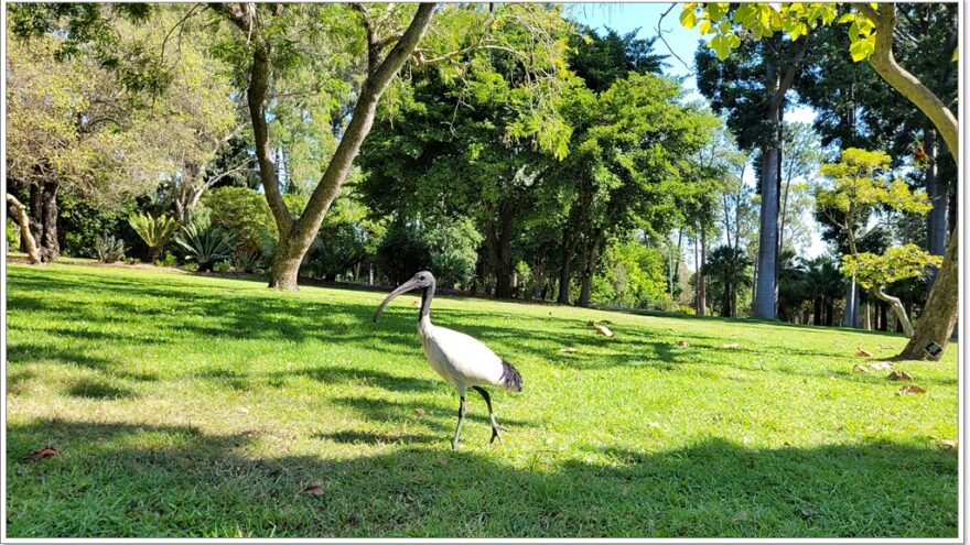 Rockhampton - Glendale - Queensland - Australien