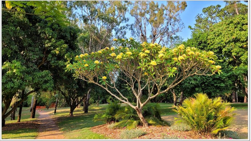 Rockhampton - Glendale - Queensland - Australien