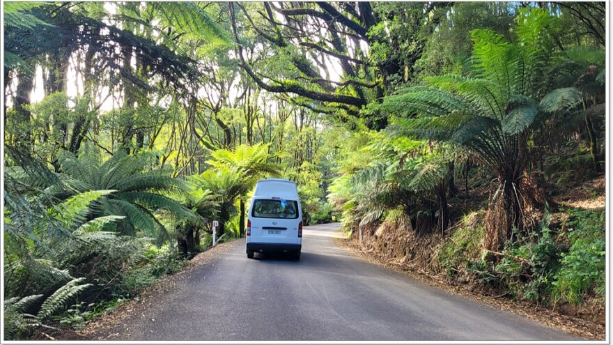 Great Ocean Road - Beech Forest - Victoria - Australien