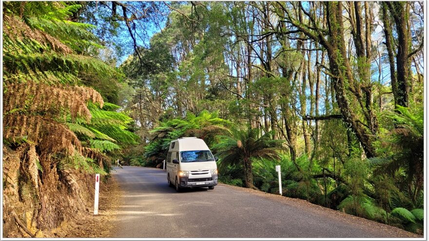 Great Ocean Road - Beech Forest - Victoria - Australien