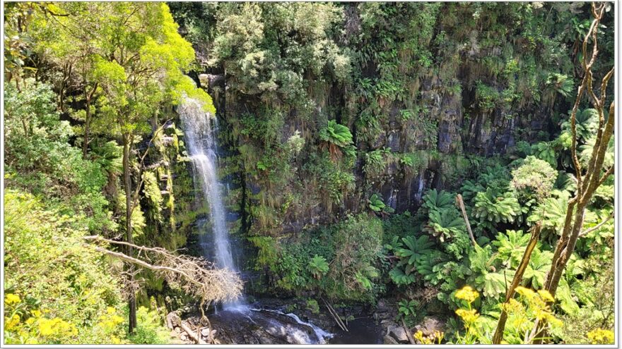 Great Ocean Road - Victoria - Australien