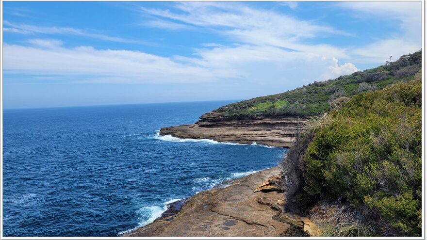 Känguru - Murramarang Nationalpark - Australien