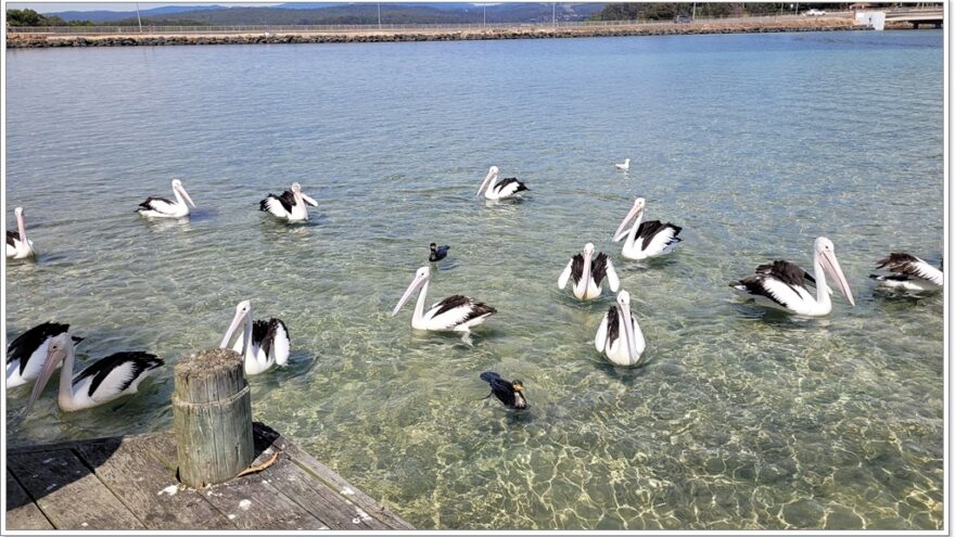 Narooma - Merimbula - Australien