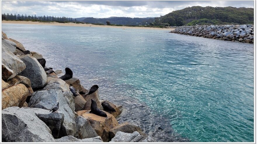 Narooma - Merimbula - Australien