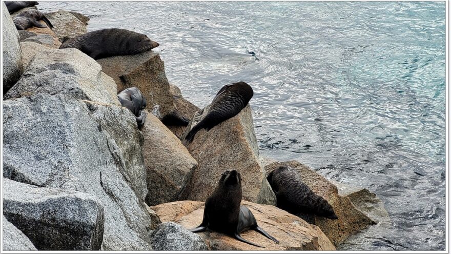 Narooma - Merimbula - Australien