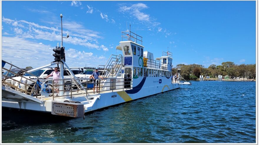 Raymond Island - Koalas - Australien - Victoria