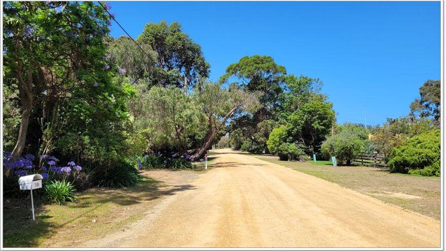 Raymond Island - Koalas - Australien - Victoria