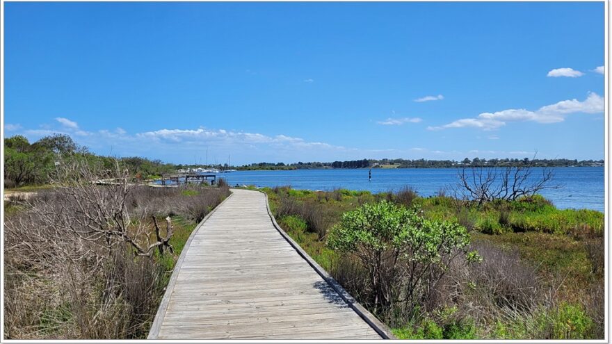 Raymond Island - Koalas - Australien - Victoria