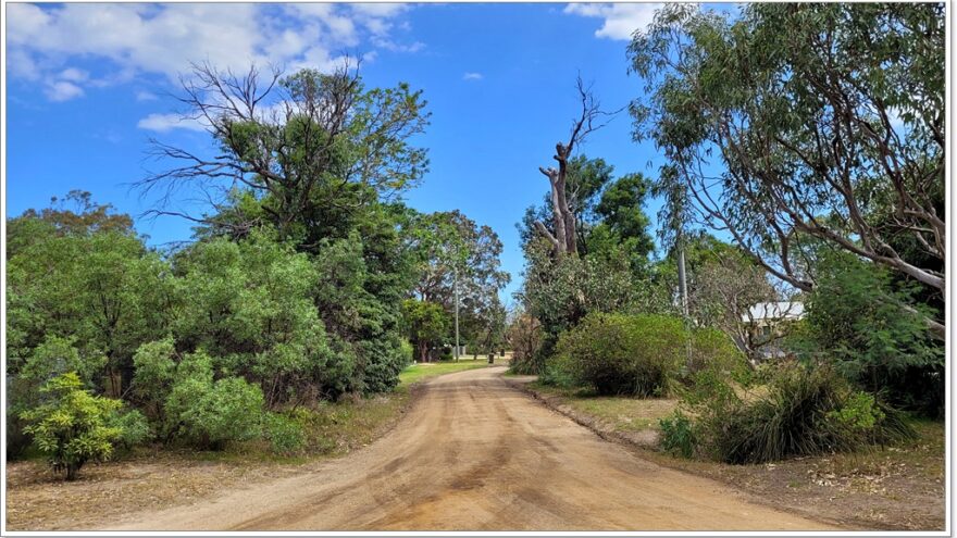 Raymond Island - Koalas - Australien - Victoria