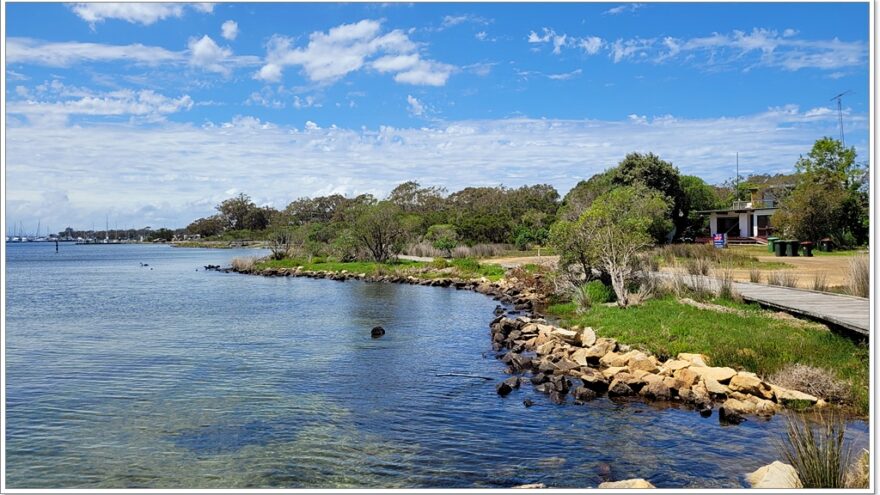 Raymond Island - Koalas - Australien - Victoria