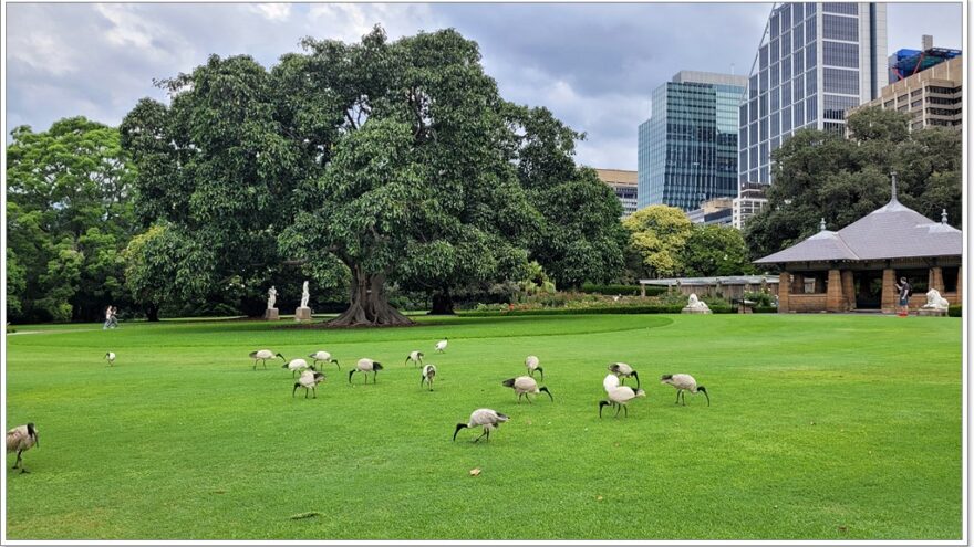 Sydney - NSW - Australien