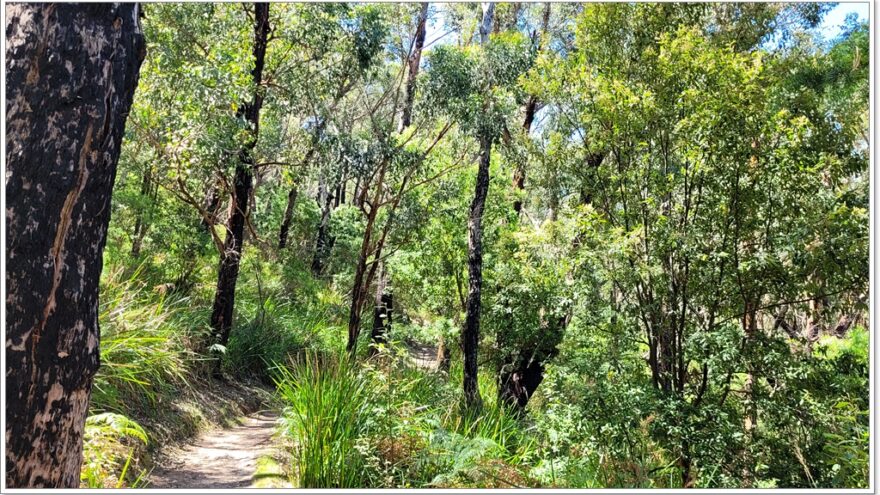 Wilsons Promontory Nationalpark - Mt. Bishop - Australien - Victoria