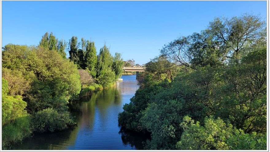 Bairnsdale - Raymond Island - Koalas - Australien