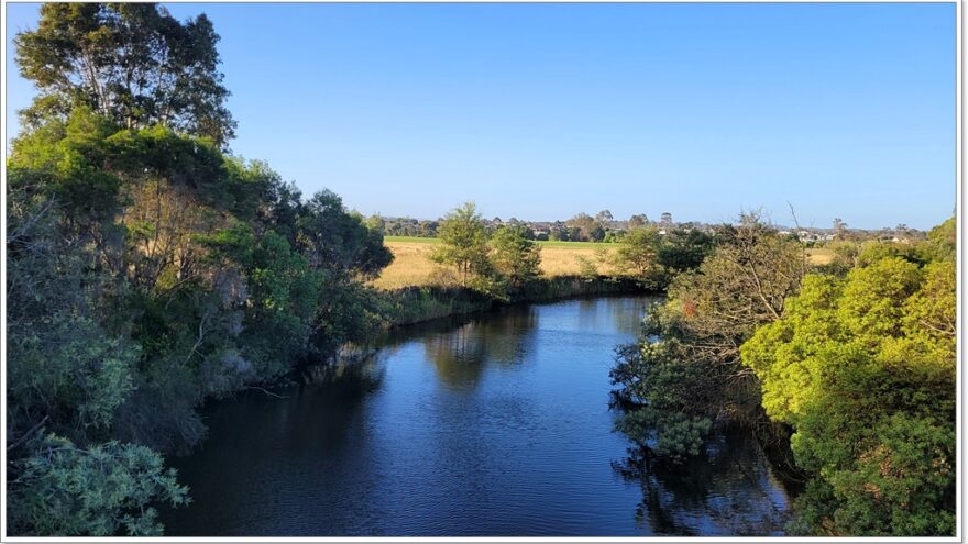 Bairnsdale - Raymond Island - Koalas - Australien