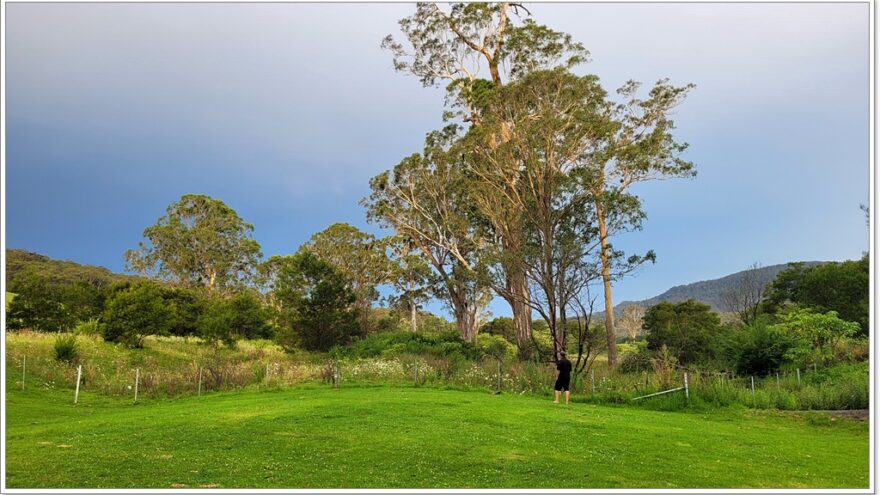 Bendeela Recreation Area - NSW - Wombats - Australien