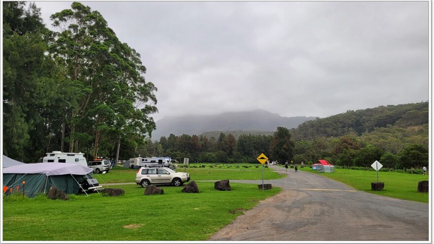 Bendeela Recreation Area - NSW - Wombats - Australien