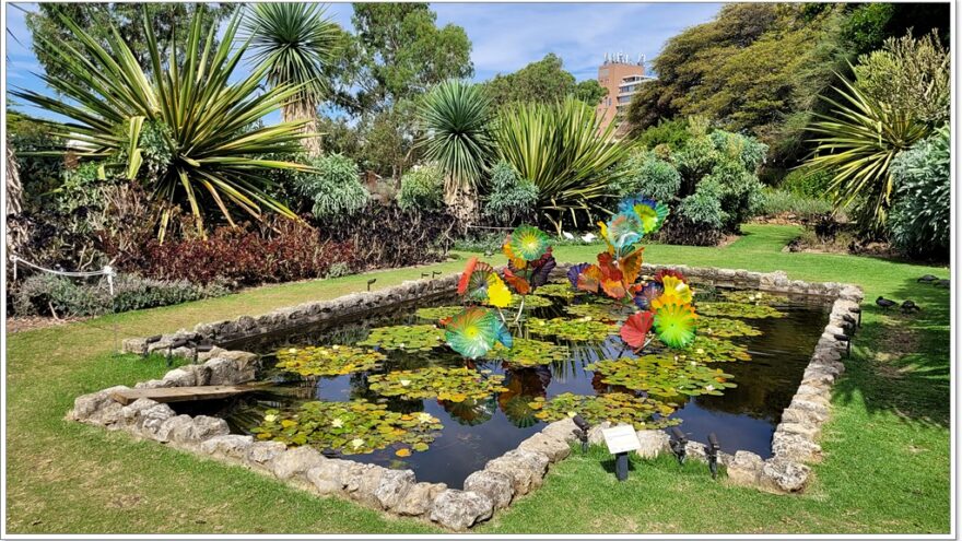 Botanischer Garten - Adelaide - South Australia