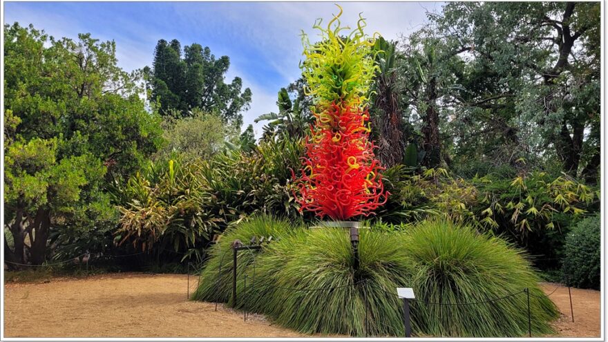 Botanischer Garten - Adelaide - South Australia