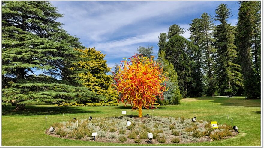 Botanischer Garten - Adelaide - South Australia