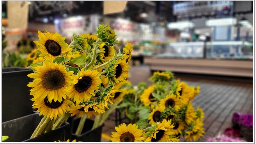 Markthalle - Adelaide - South Australia